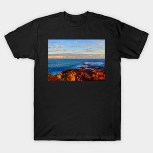 Red Rocks of the Sea! T-Shirt